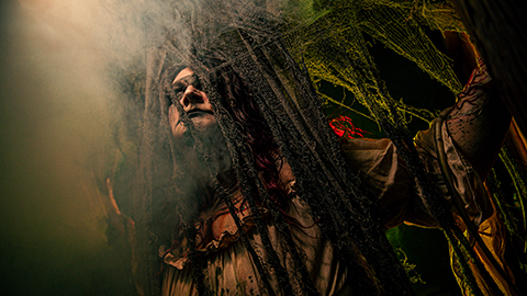 Every day is a bad hair day at Haunted Hollow